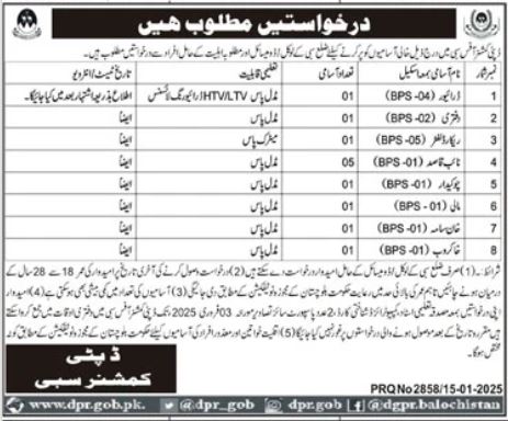 Jobs in the Deputy Commissioner Office of Sibi 2025