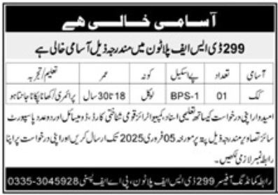 Jobs for Cooks at 299 DSF Platoon Karachi, 2025