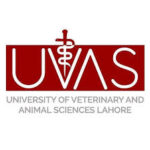 University of Veterinary & Animal Sciences Lahore